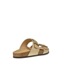 Fashion Mules plates or GEOX Sandales